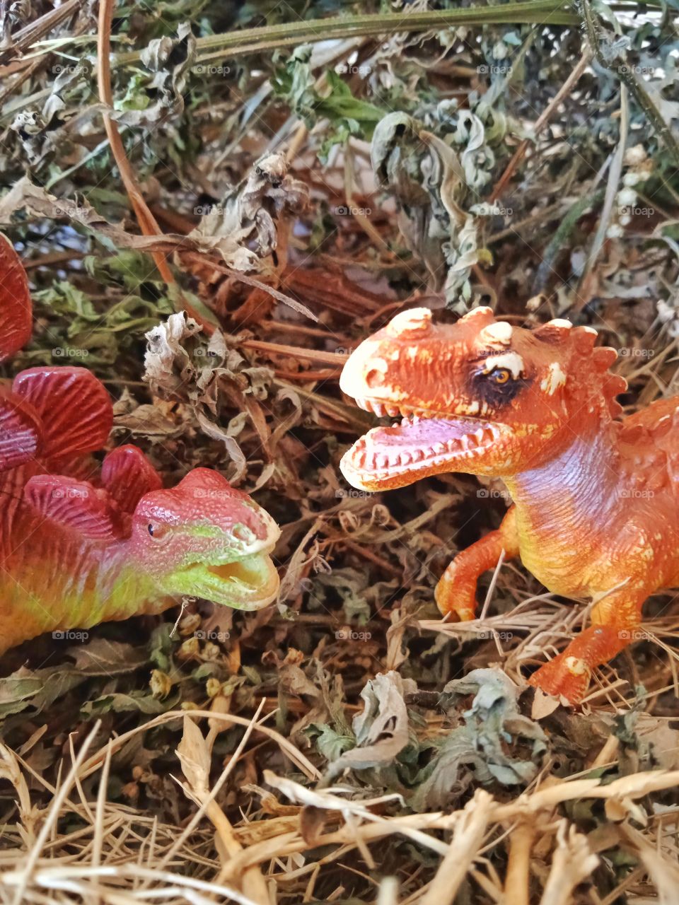 stegosaurus -tyrannusaurus rex