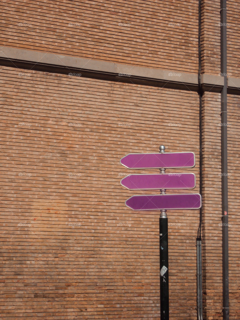 Purple arrows signpost at the street