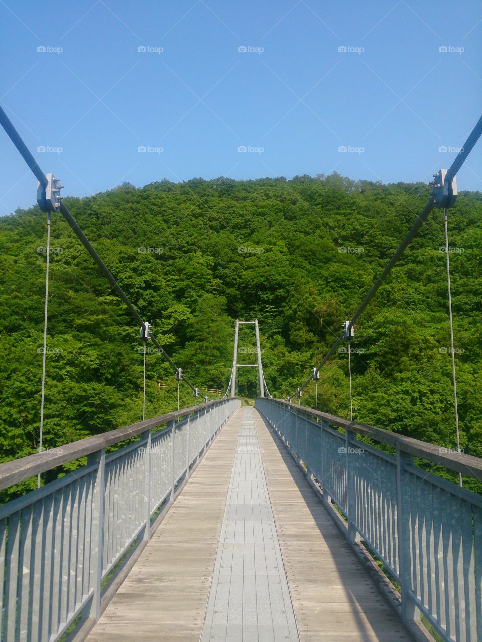 山にかかる吊り橋