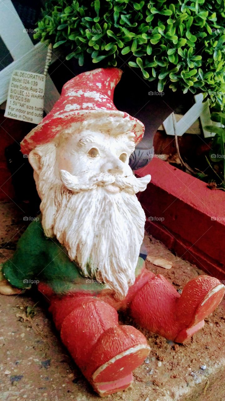 Mr. gnome