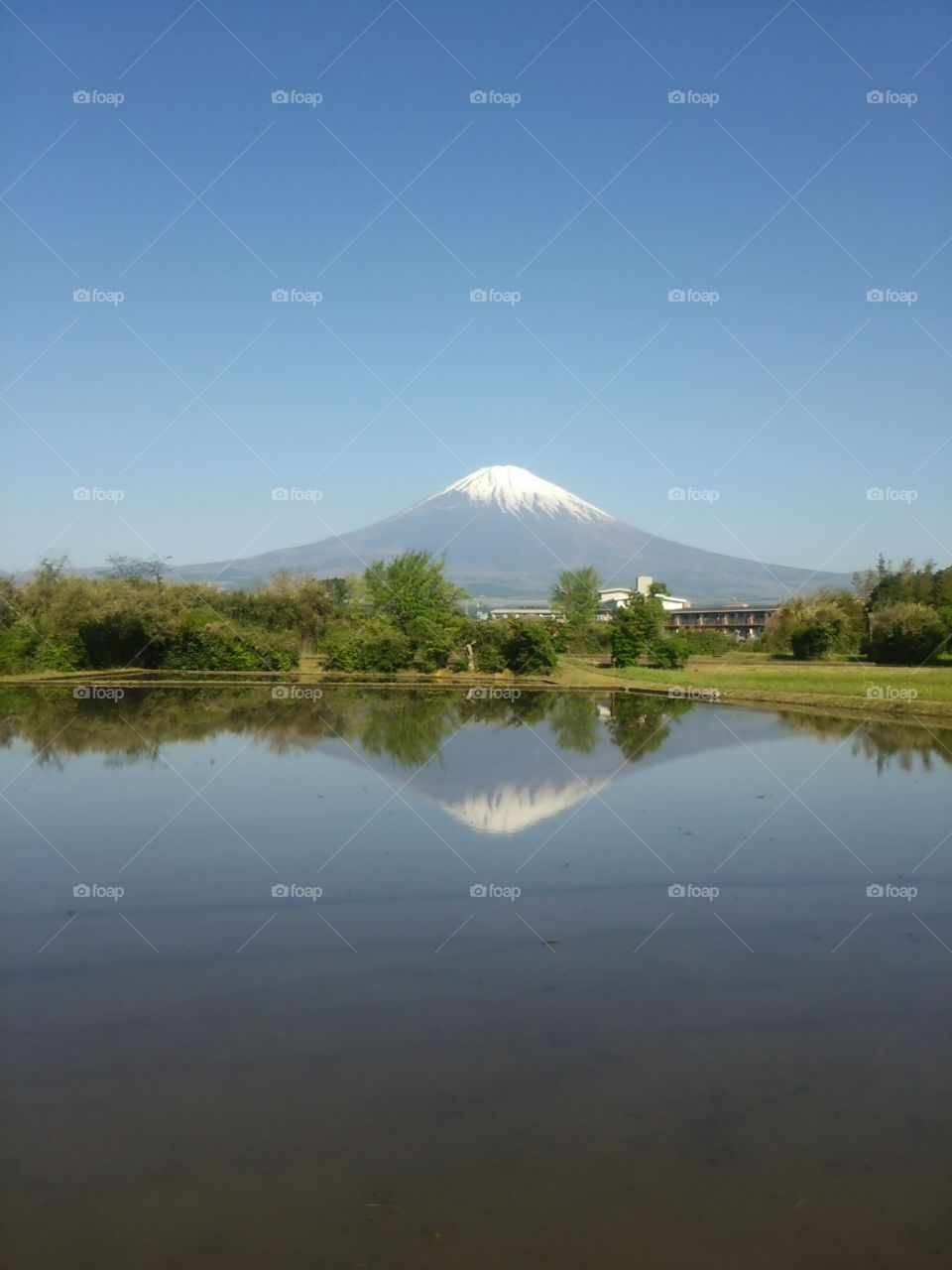 FUJISAN