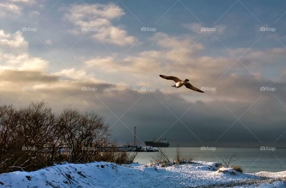 Winter:By the sea