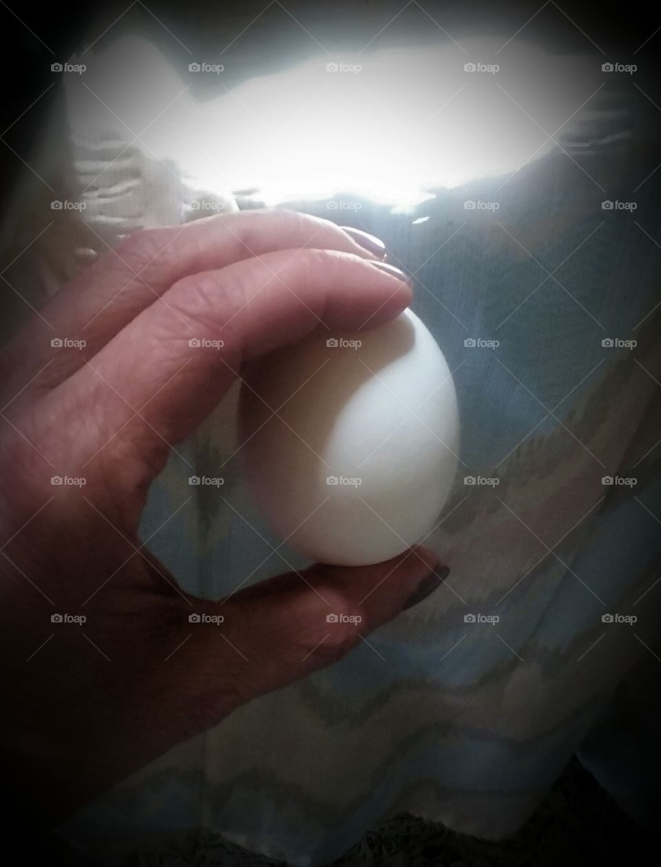 One Egg