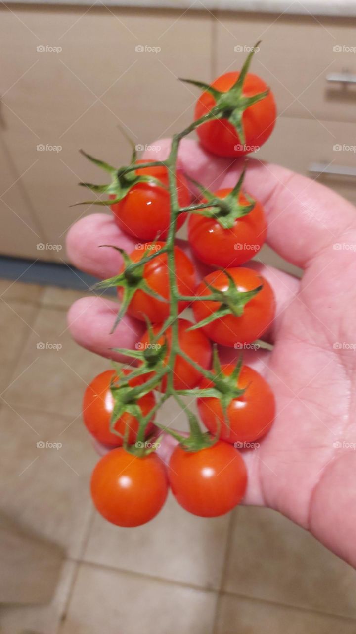 Crete sweet tomatoes