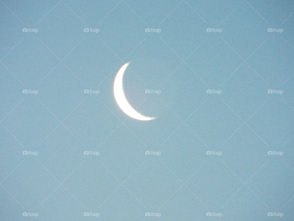 Morning moon