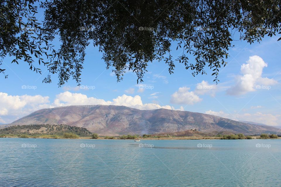 Butrint is a national park also, with quite diverse flora and fauna, there are even endangered, rare and protected species here!, which makes it a rather unique place in the world.