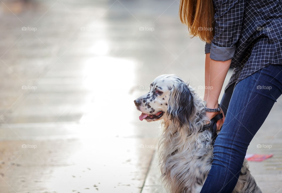 Dog, Pet, Cute, Young, Animal