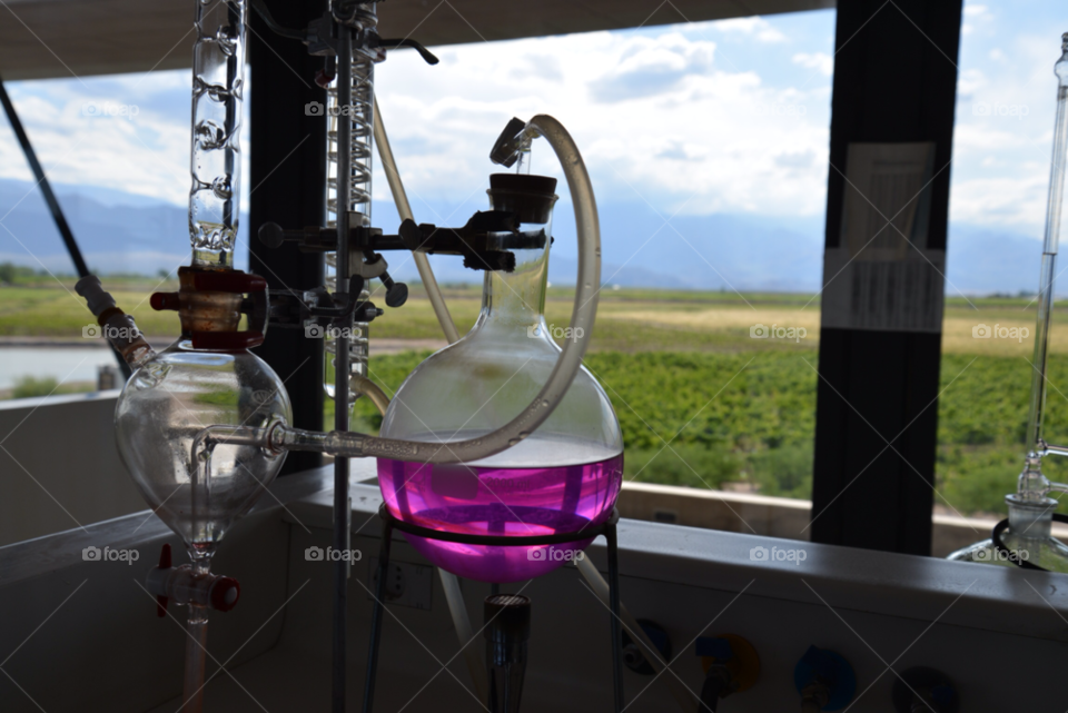 wine argentina mendoza laboratory by twister