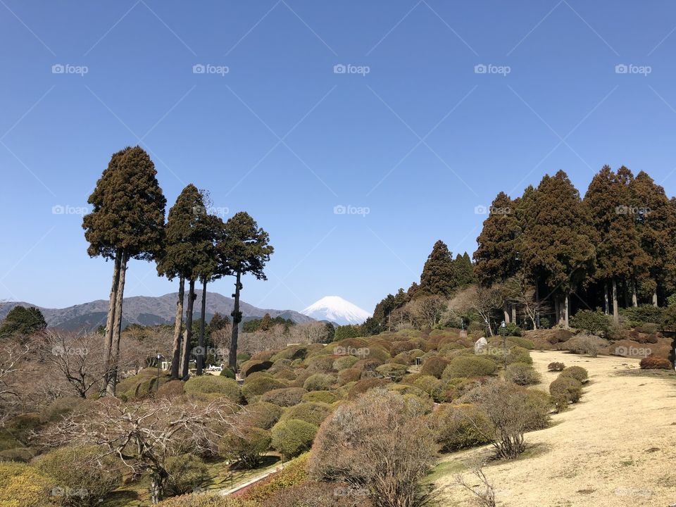 Japan mountain landscape 