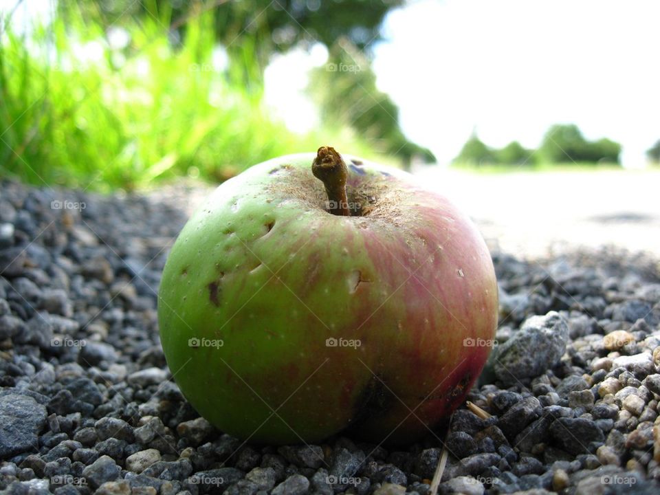Apple Hitchhike