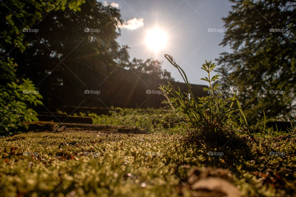 Its all about the focus