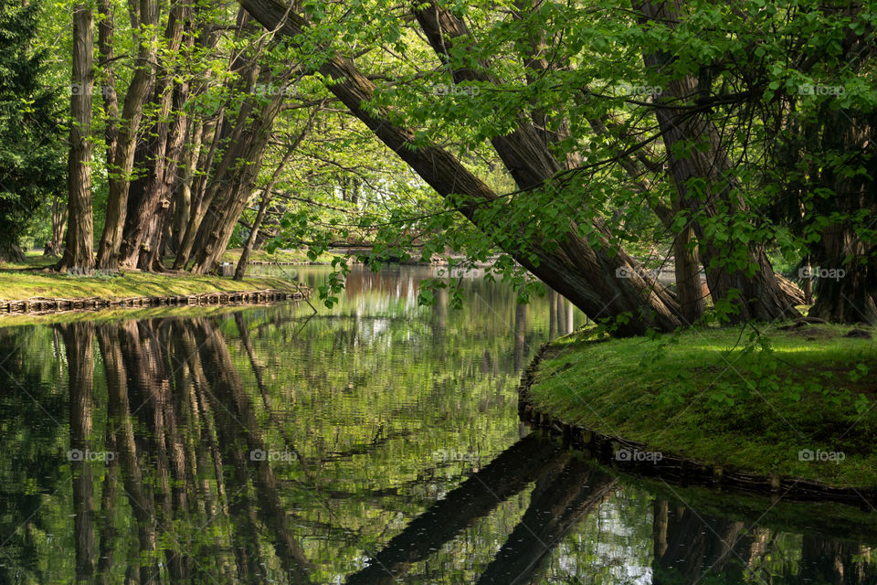 ・ Seeing Double
・ Reflection of Autumn Trees on the Water Surface in Oliwa Park . Gdansk
・ 💚