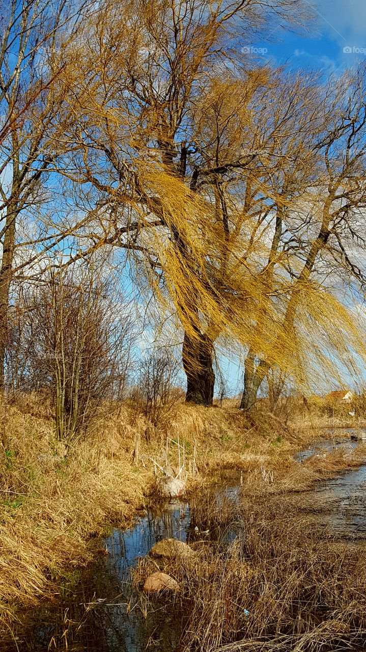 Wietrzna jesień