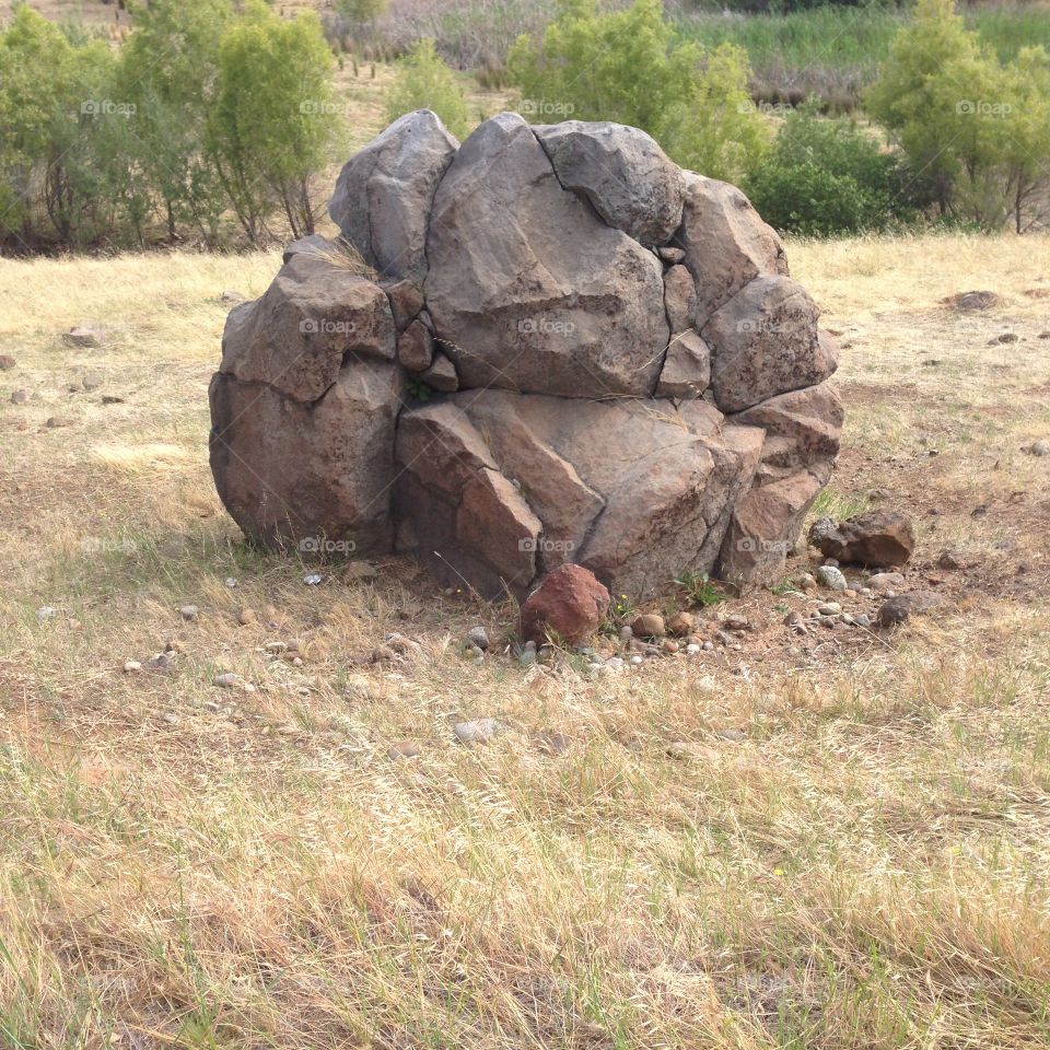 Solid as a rock . Interesting reptile like Large rock, straw, field, trees, green