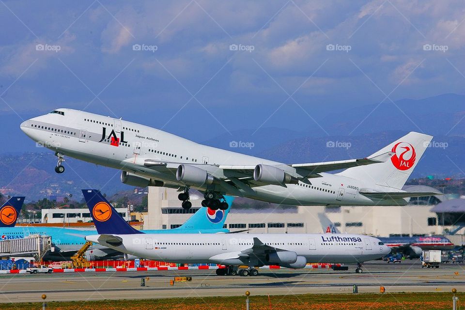 JAPAN AIRLINES B747-400 LAX