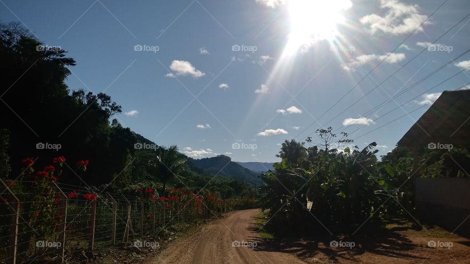 SUNBEAM heller Sonnenstrahl