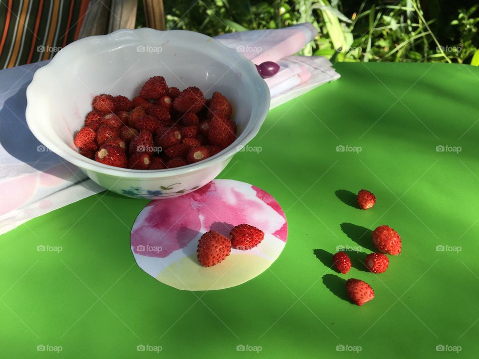 Harvest of wild strawberries 