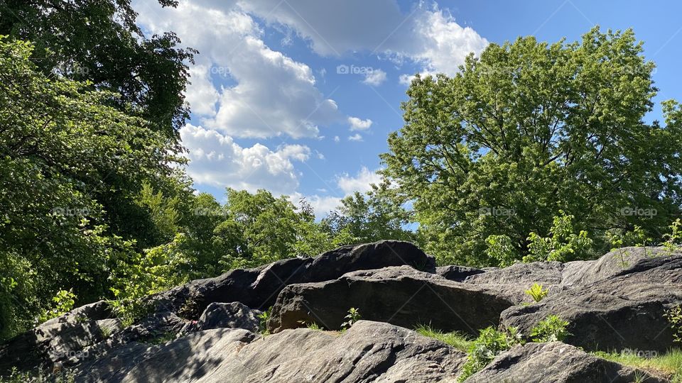 Clear sky, sunny day, trees were lovely. The rocks were long a place where you can sit.