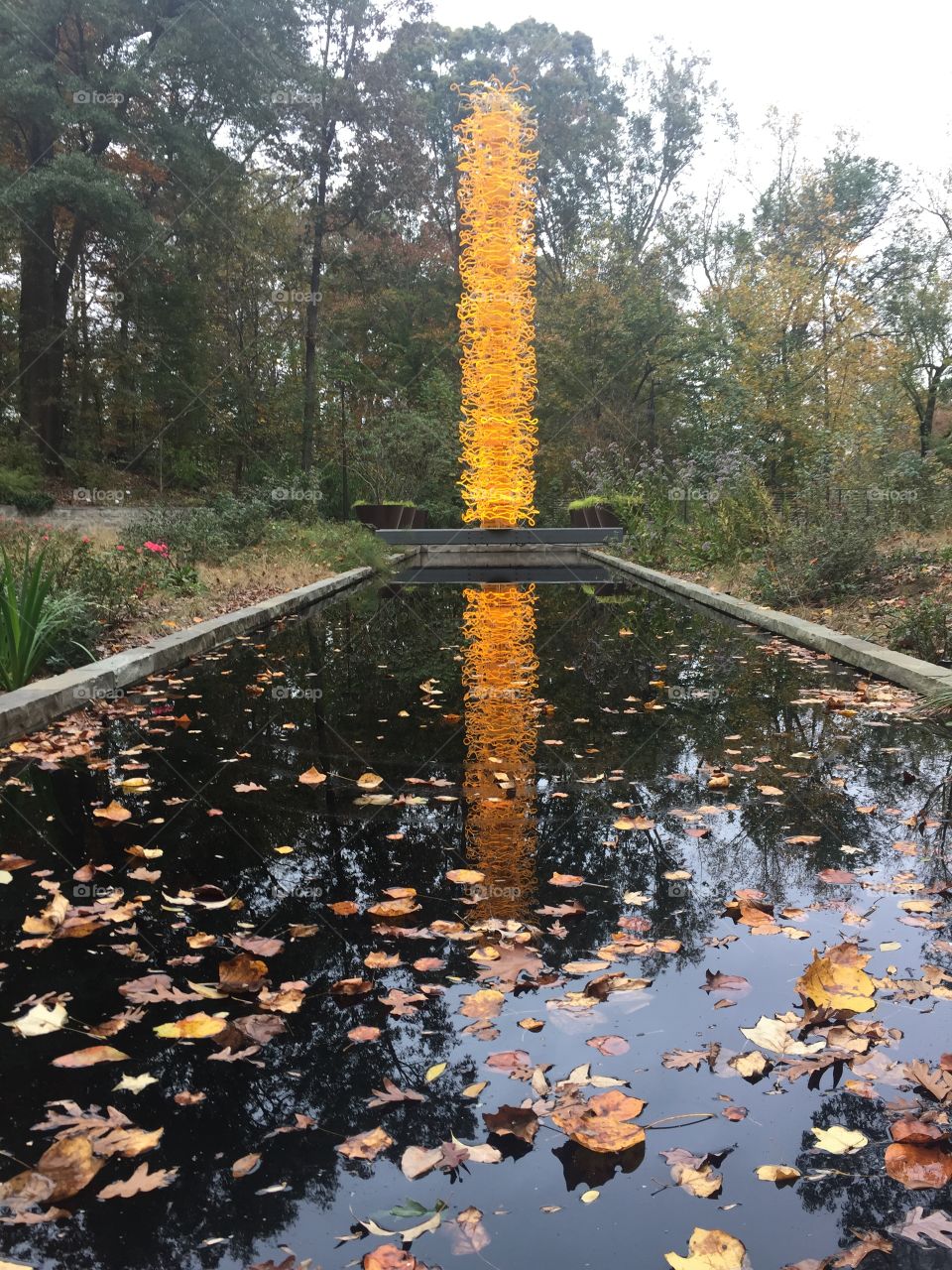 the garden meets christmas lighting. 
