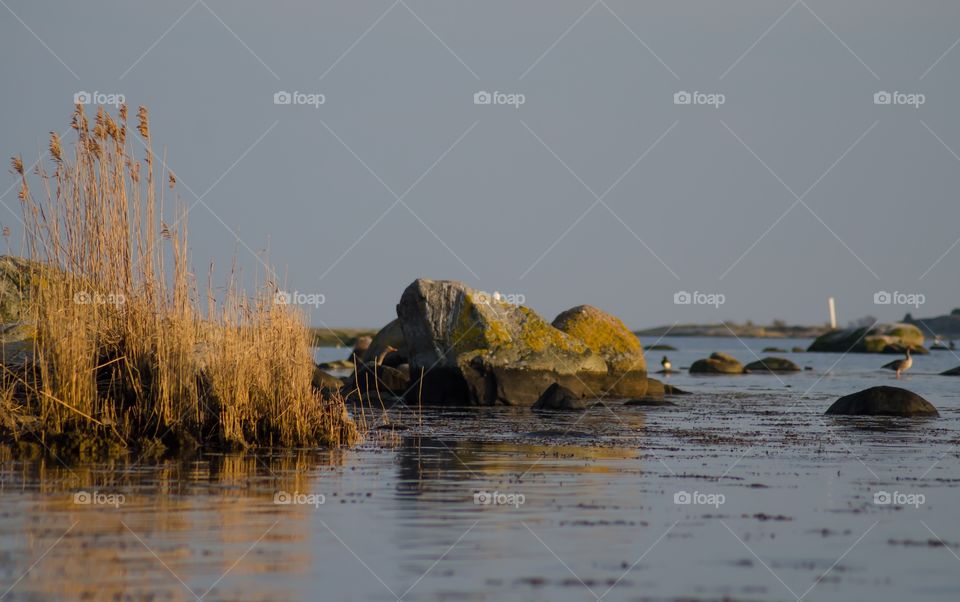 Kuggeboda, Ronneby, Sweden