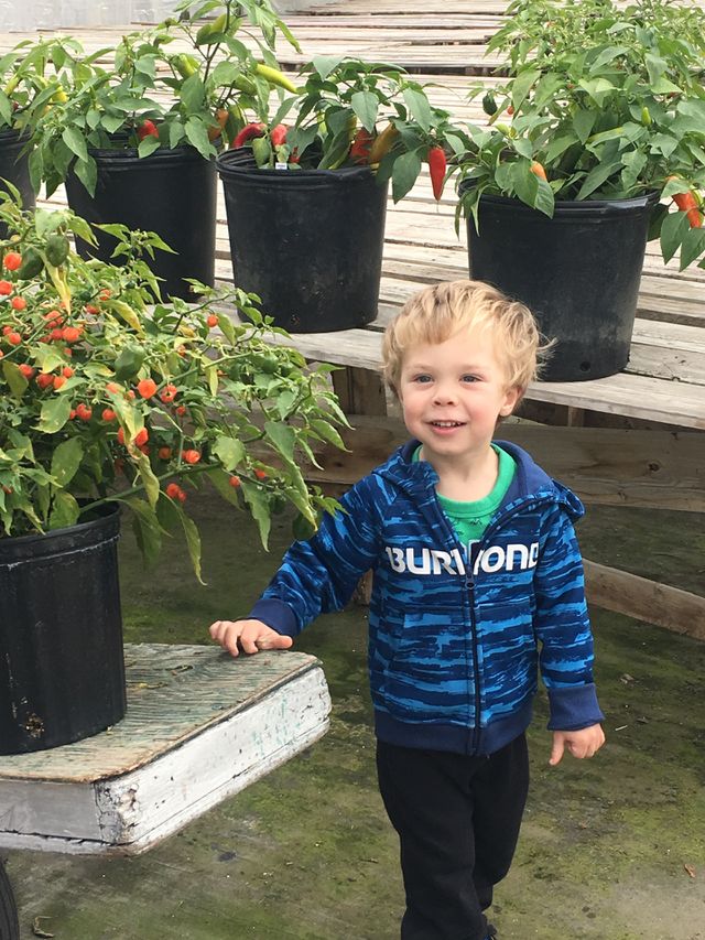 At the greenhouse 