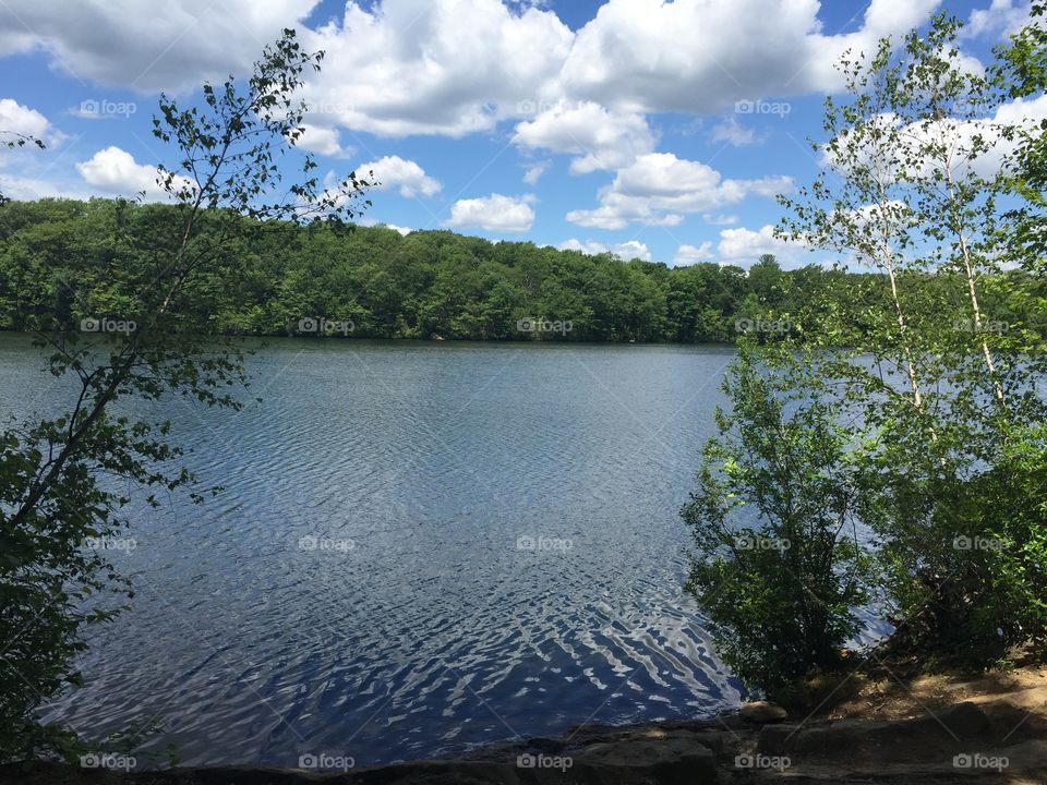 Lake landscapes