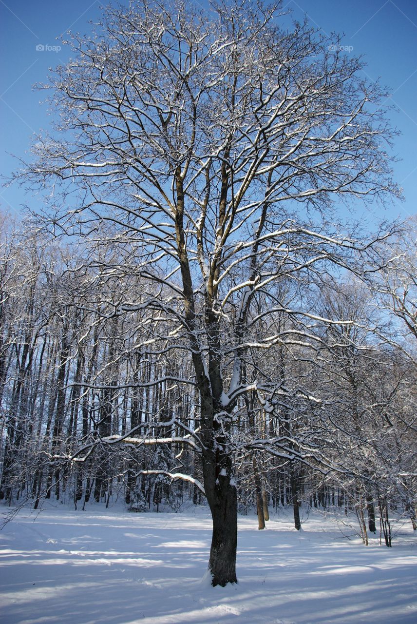 Scenic view during winter