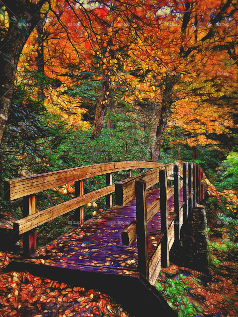 Bridge to an Enchanted Forest