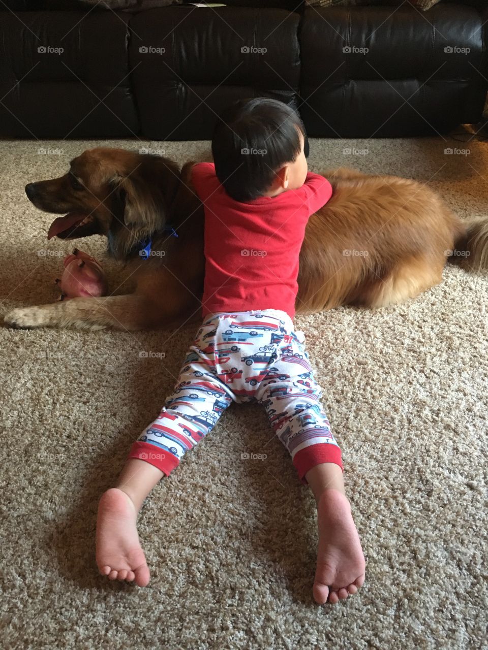 Baby Meets Dog