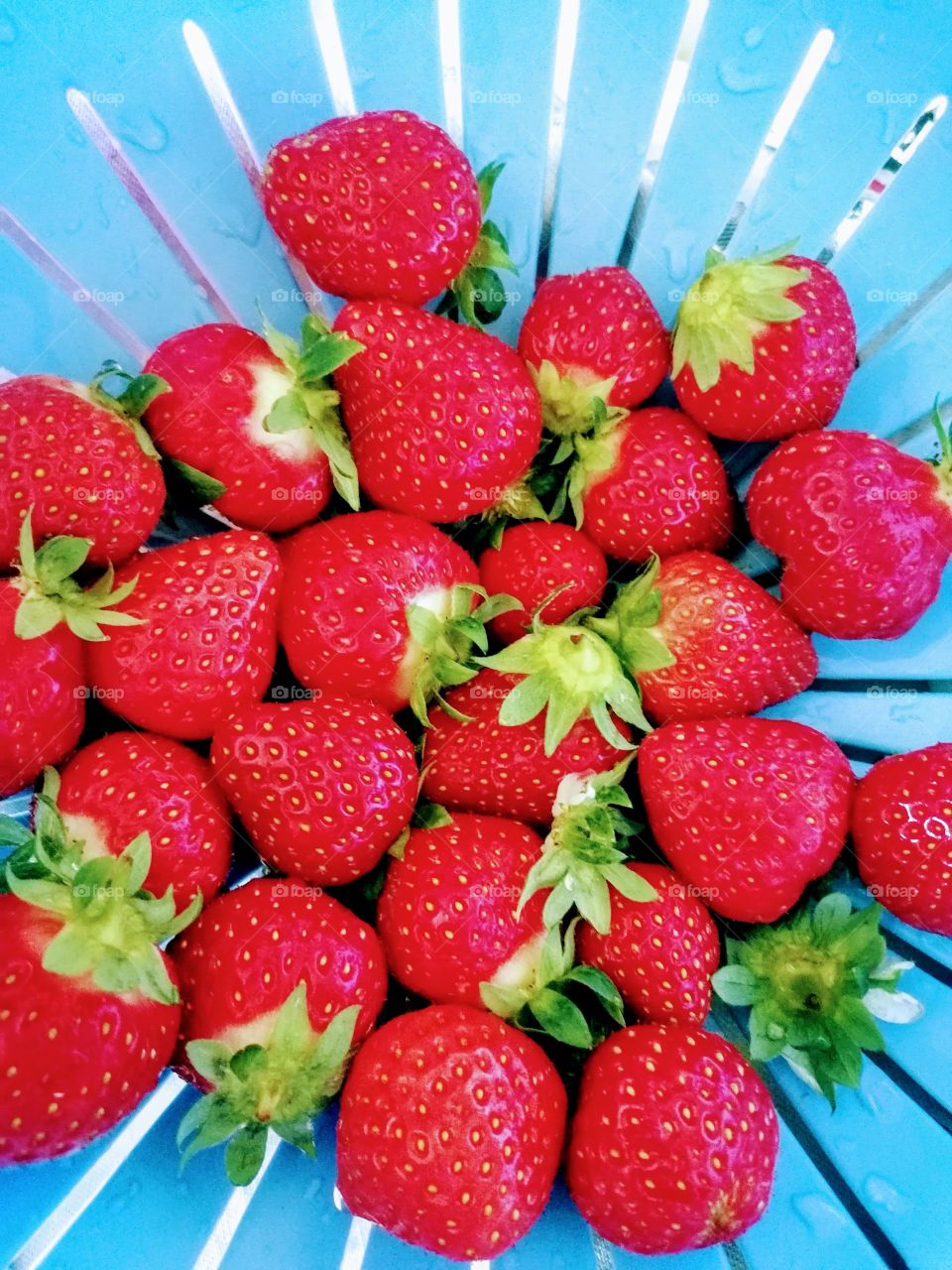 Fraises