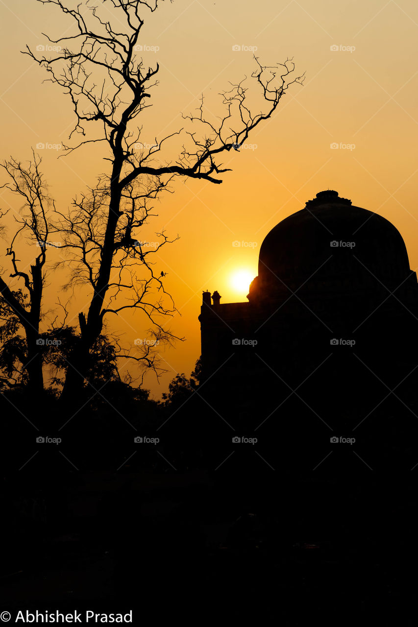 Silhaouttee formation captured from my trip to Lodi Garden in New Delhi
