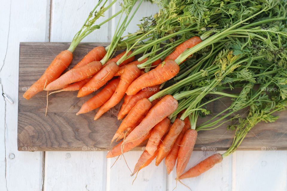 High angle view of carrots