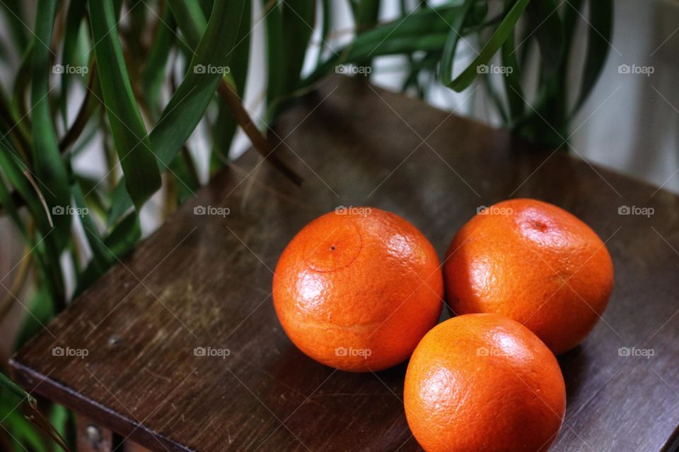 Three oranges lie next to a green plant on a brown wooden table