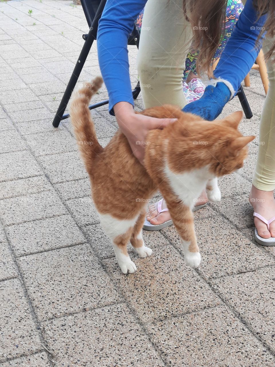 a child with a cat