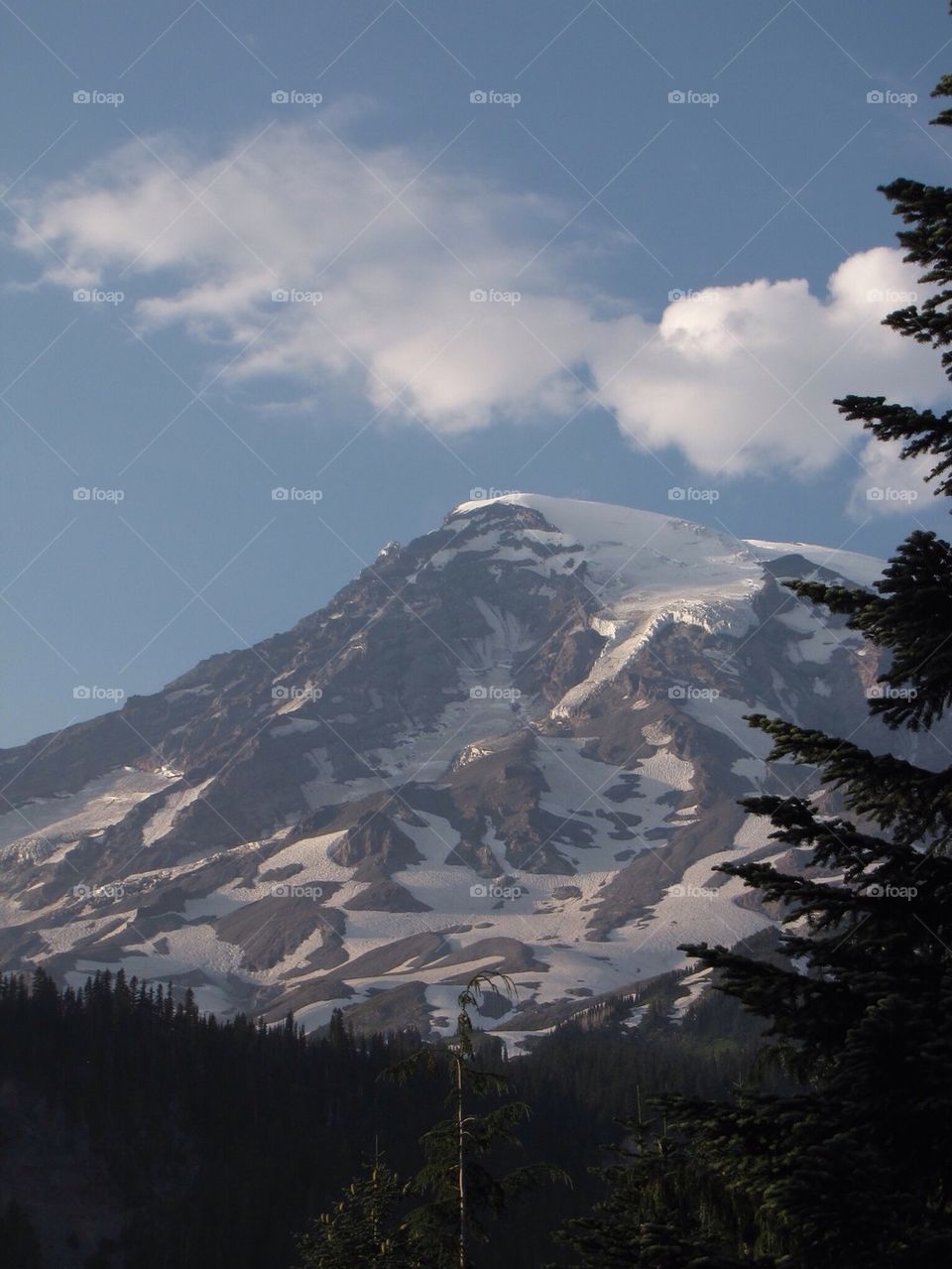 Mt hood 