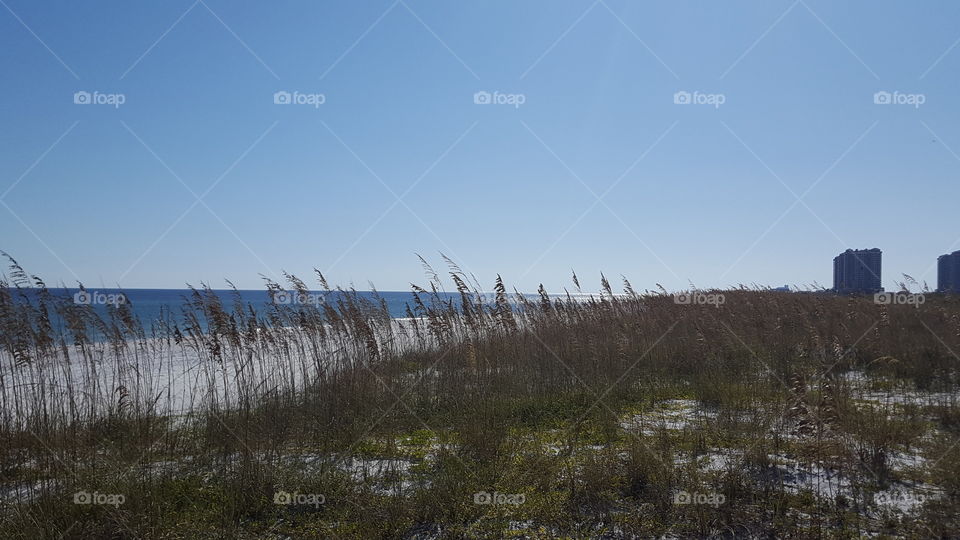 beach view