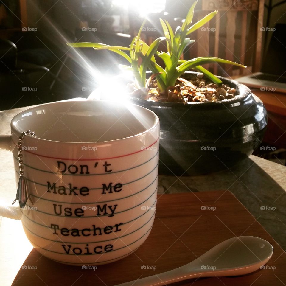 mug in the morning