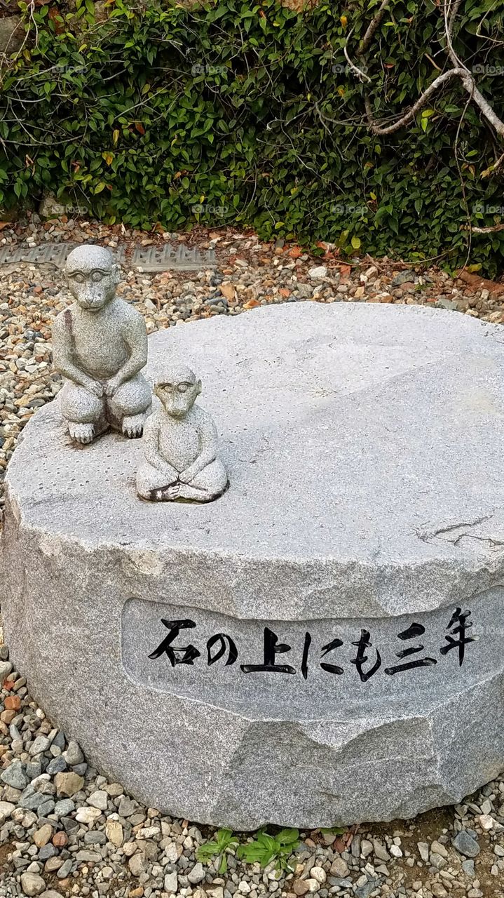 Ryuanji Temple monkey statue