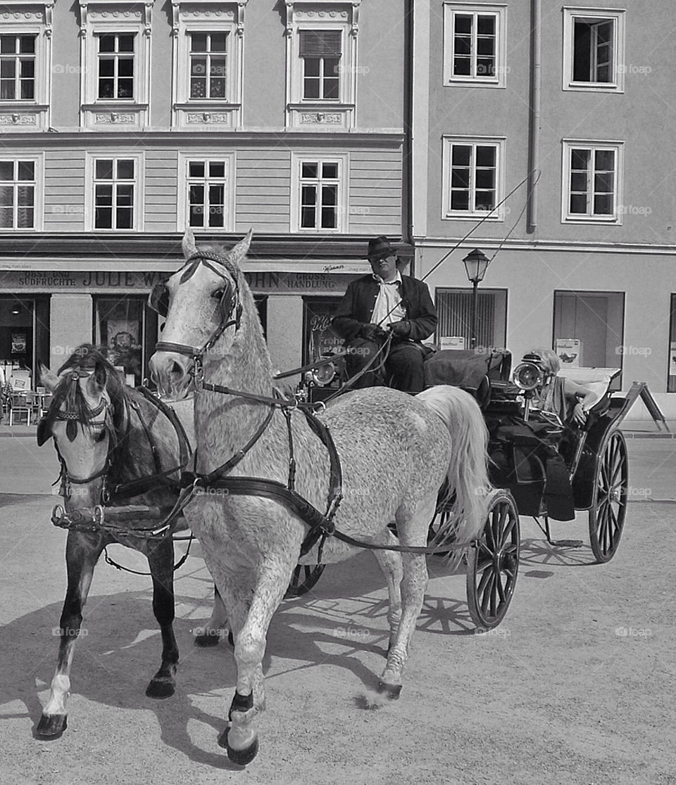 Horse and carriage