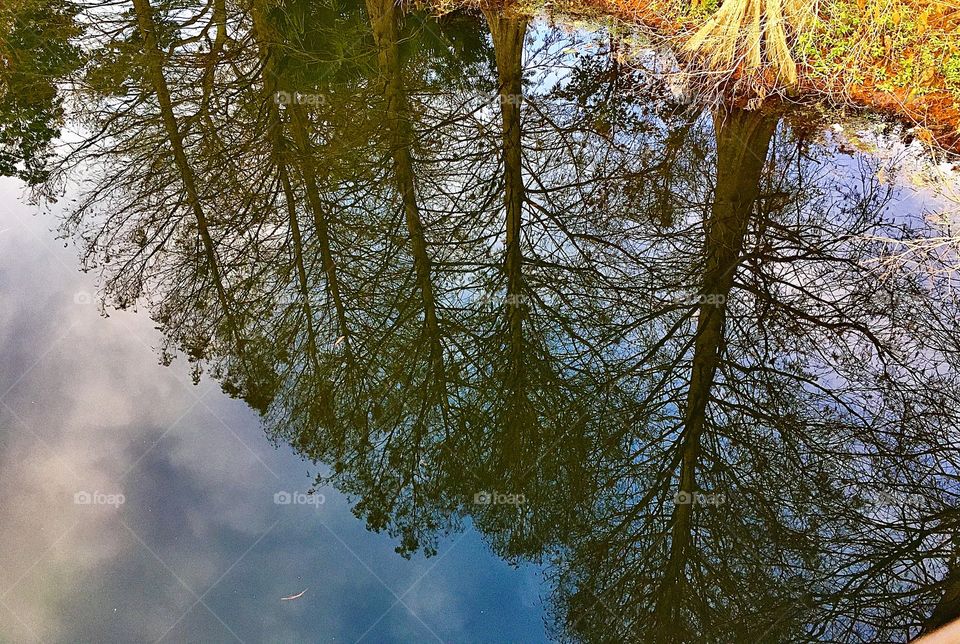 Just a mere reflection of what could be seen 