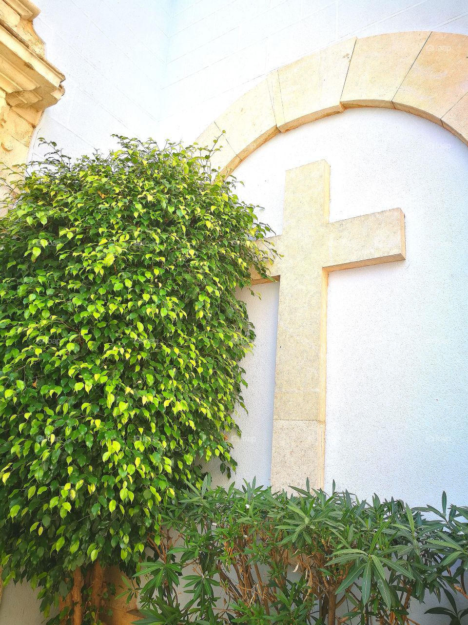 No Person, Architecture, House, Summer, Leaf