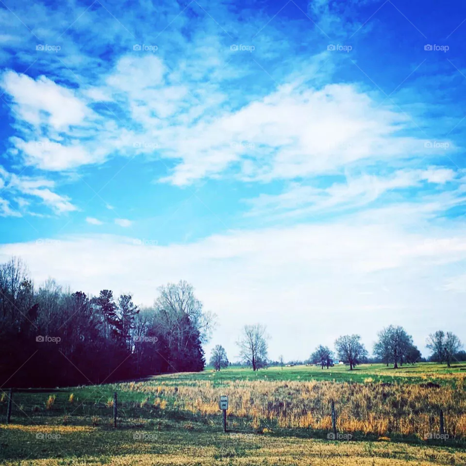 Countryside view