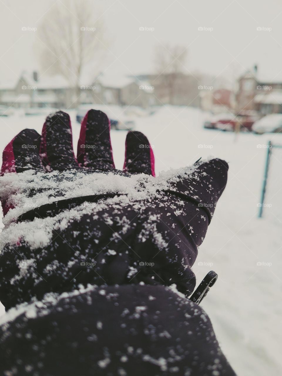 hand in the snow