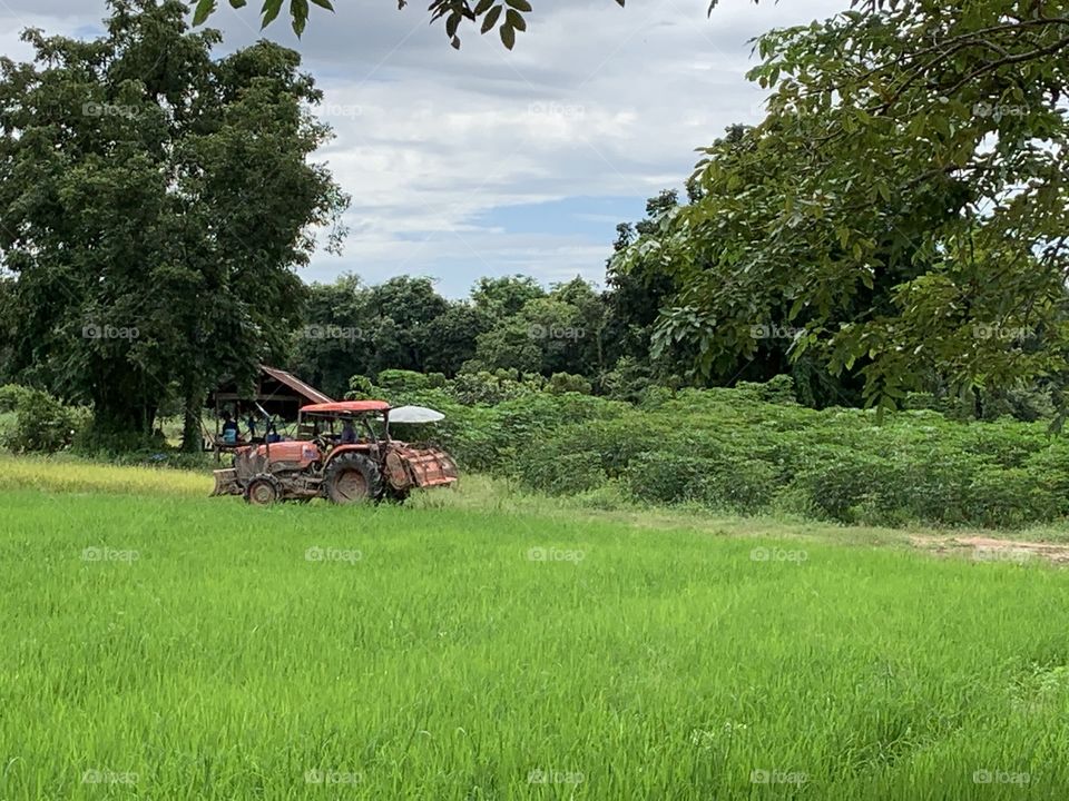 This is why I love my job, Countryside (Thailand)