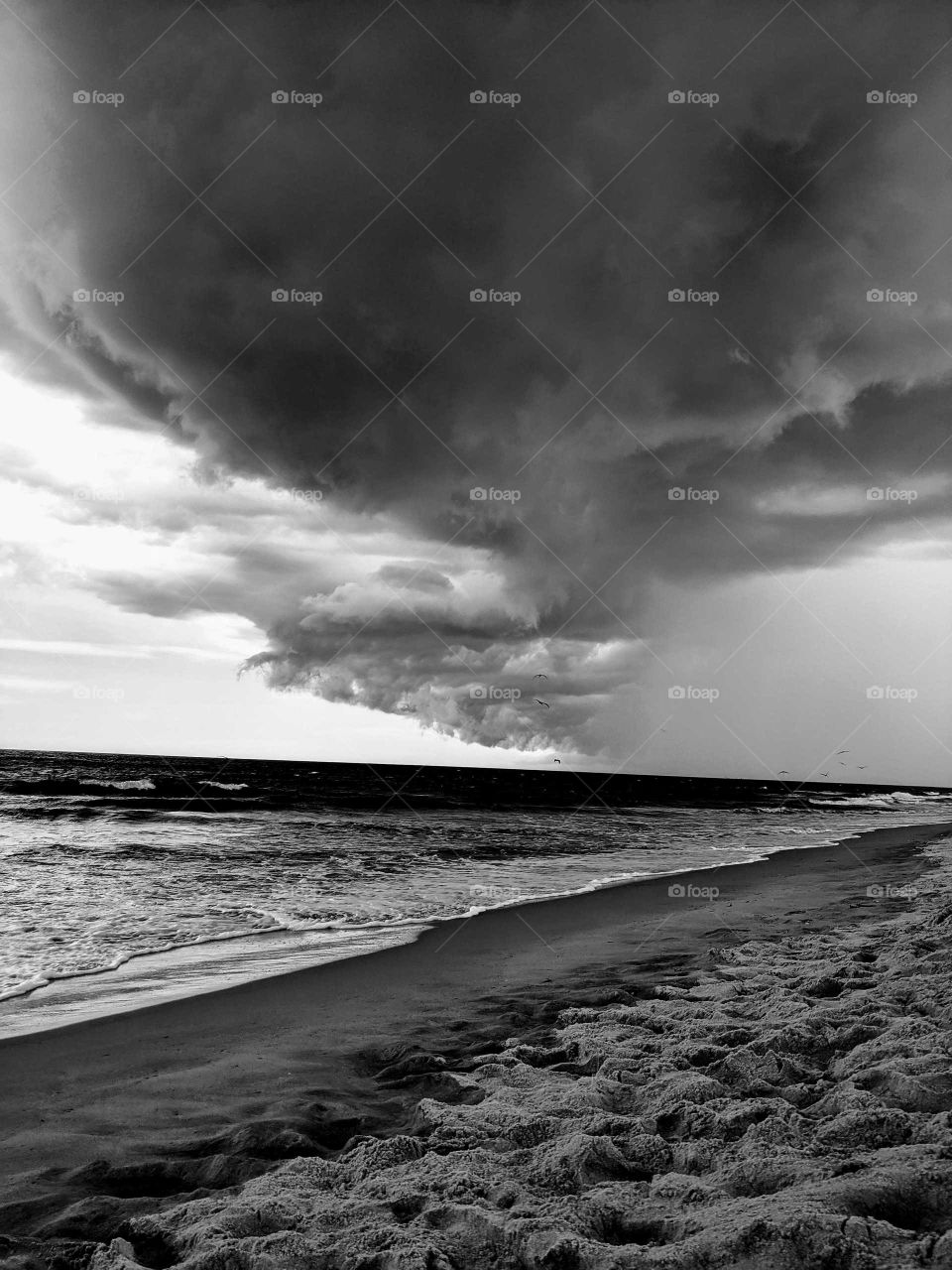 Rain at the Beach Black & White