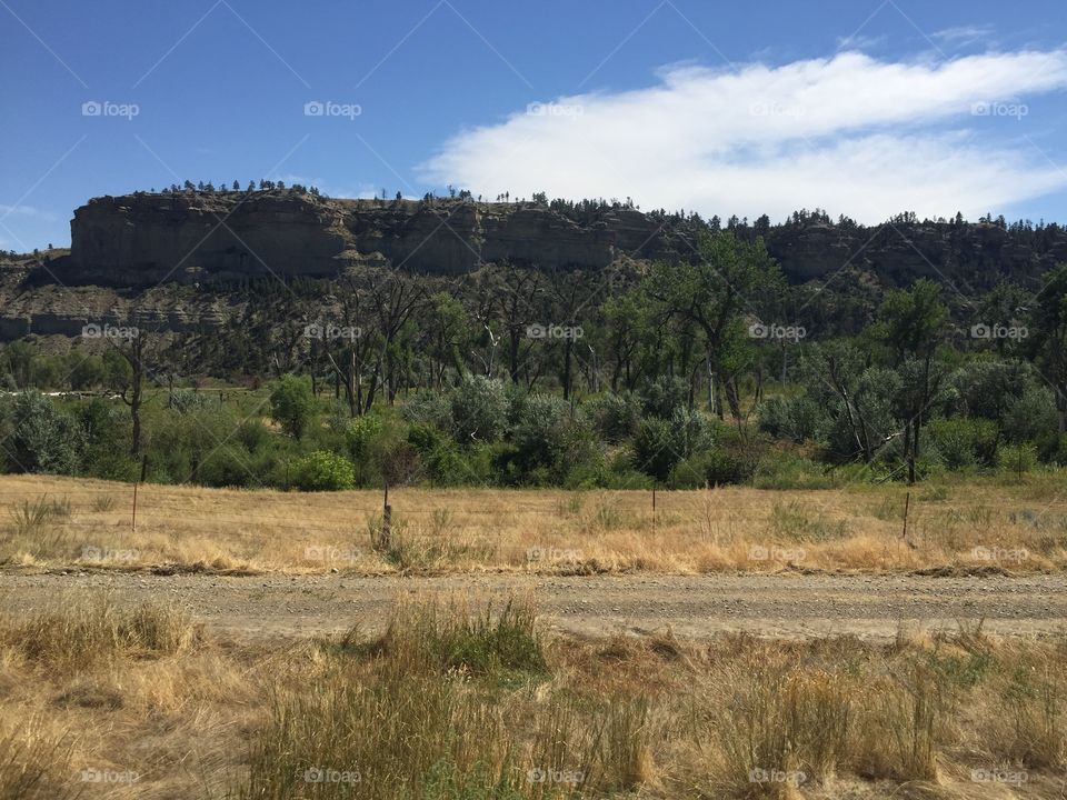 Landscape, No Person, Travel, Tree, Sky