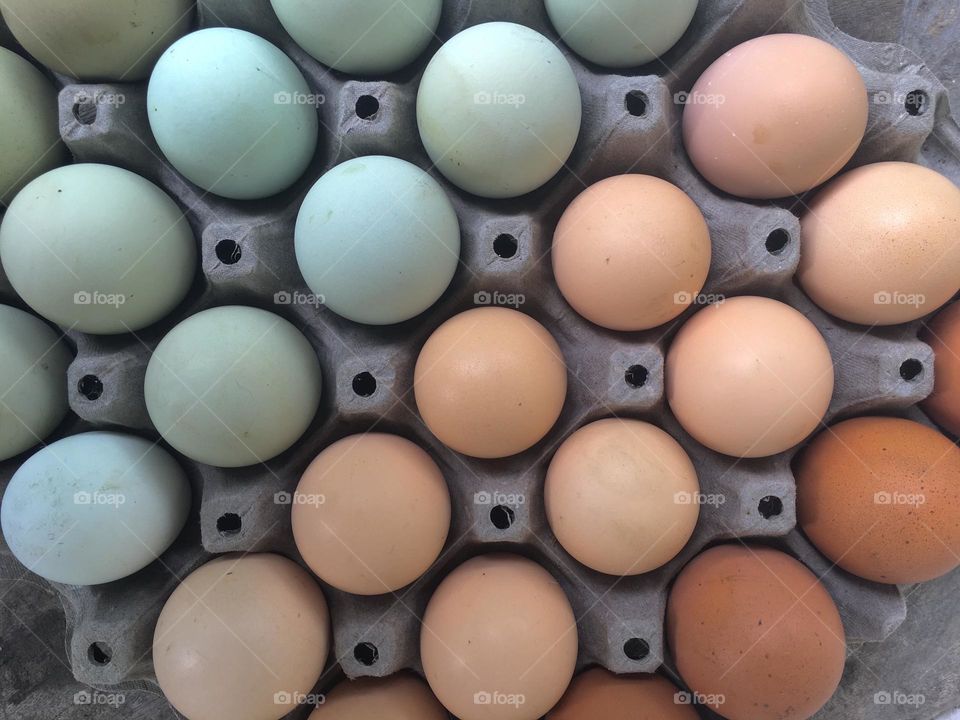 Eggs