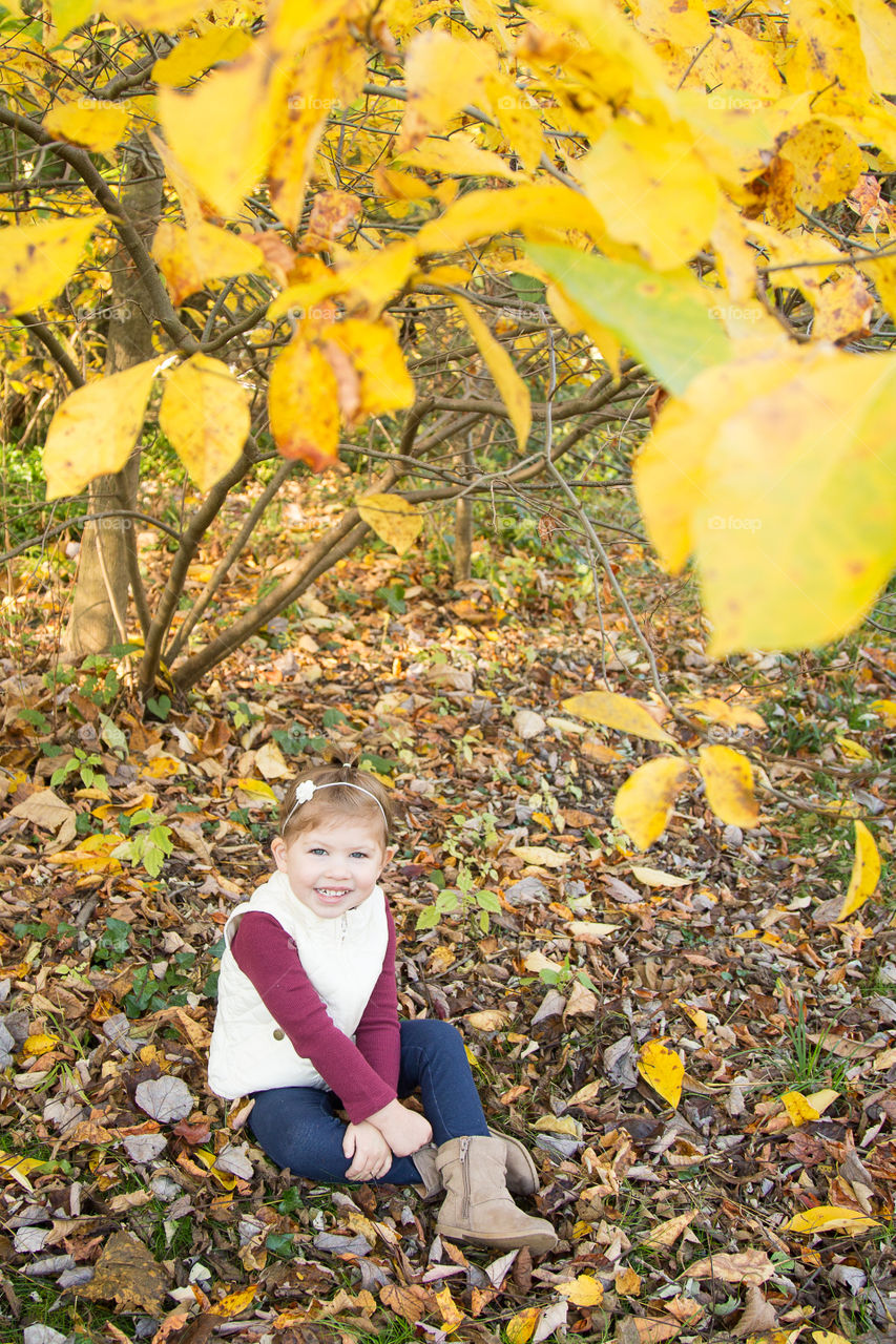 Toddler Girl Sitting in Fall Leaves