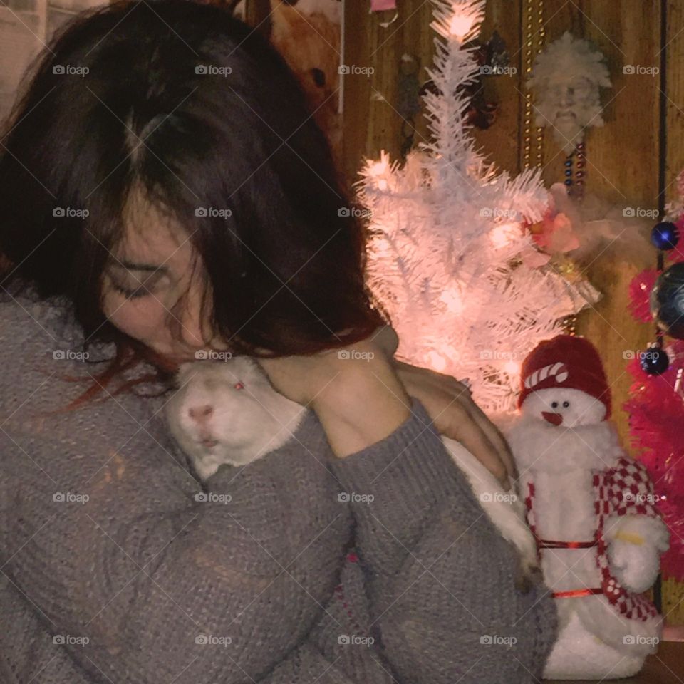 Christmas love and guinea pig 