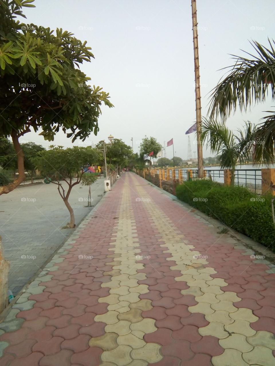 a beautiful seen at Bathinda city